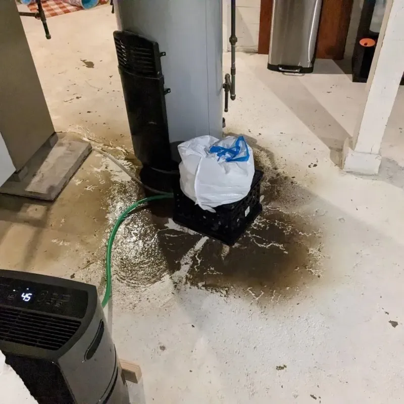 Sewage Backup Cleanup Service in Jefferson, MD